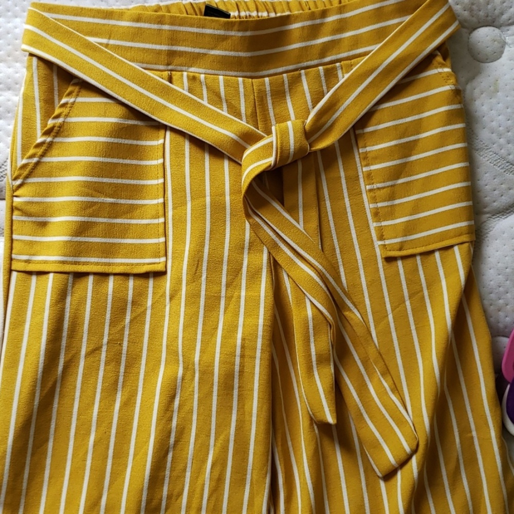 Dressy pants